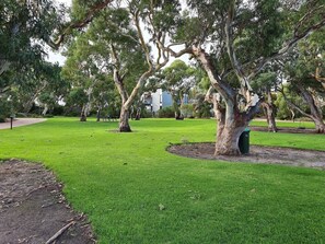 A park with green grass, trees, and a bench.
