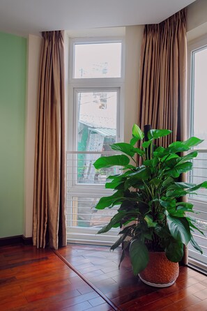 Una habitación con un ventanal grande, una planta en maceta y suelo de madera.