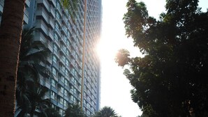 Un chemin menant à un immeuble de grande hauteur doté de balcons, entouré de palmiers et surplombant un ciel dégagé.