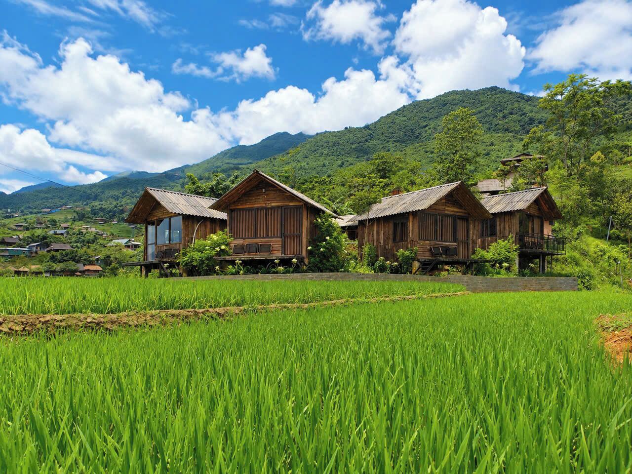 Ngoại thất