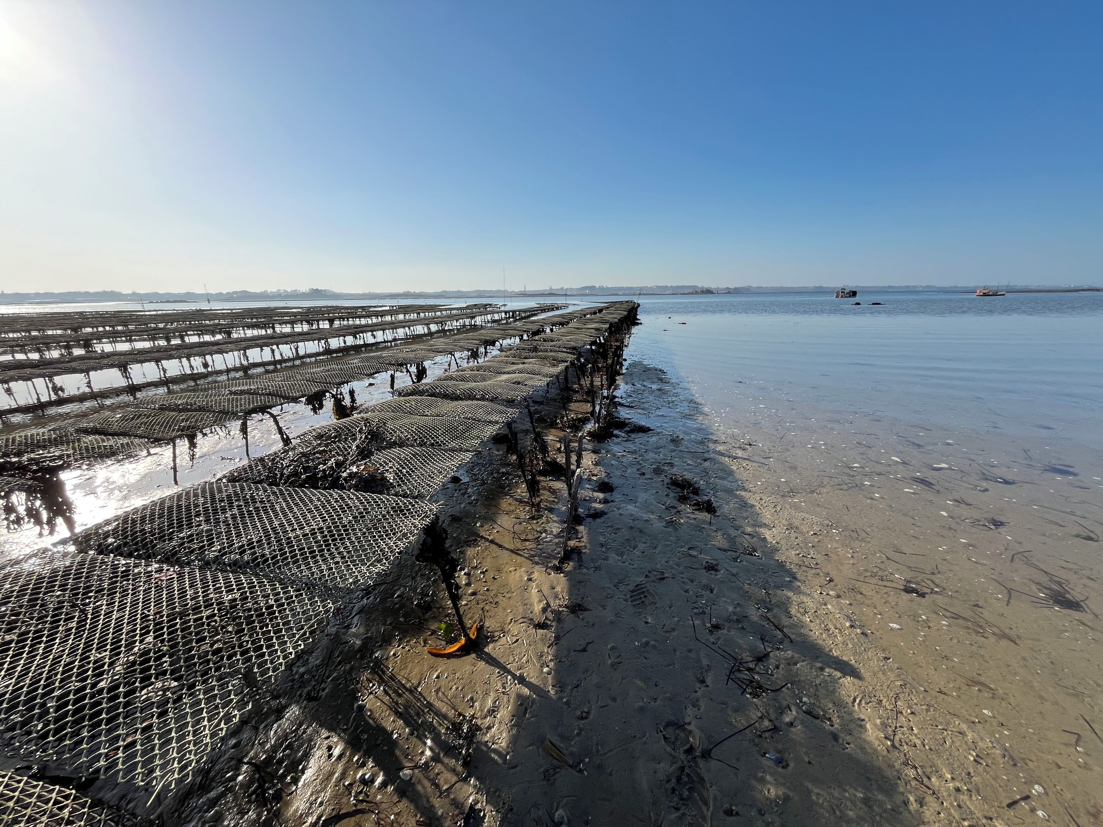 A coastal area with a long pier extending into the water, surrounded by a sandy beach.
