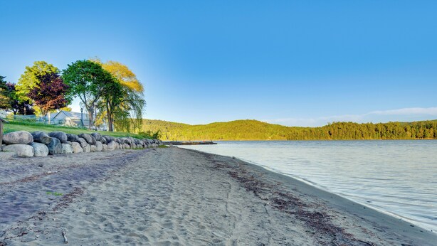 Een strand met een stenen muur, bomen en een heldere lucht.
