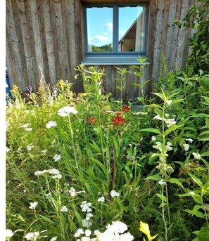 Eine Holzhütte mit Fenster, umgeben von verschiedenen Pflanzen und Blumen.