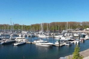 Ein Yachthafen mit zahlreichen vertäuten Booten, umgeben von Bäumen und einem klaren Himmel.
