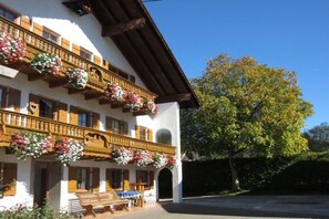 Esterni