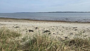 Ein Strand mit Sand und Gras im Vordergrund, ruhigem Meer im Hintergrund und blauem Himmel.