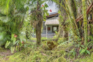 Un exuberante jardín tropical con una construcción rústica, un pequeño estanque y abundante follaje.