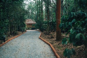 A gravel path leading to a traditional building surrounded by dense forest.