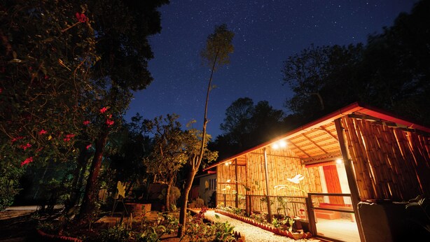 Una casa con fachada de madera, un camino de grava y un jardín con plantas y flores.