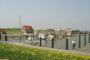 Ein Yachthafen mit Booten, ein Haus mit rotem Dach und eine Wiese mit gelben Blumen.