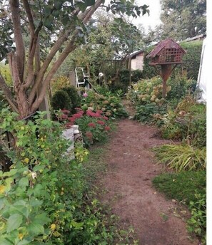 A garden path leading to a rustic house with a birdhouse and a small shed. - Holiday home with 1 bedroom (Plau am See)