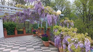 A checkered outdoor area with hanging purple flowers, potted plants, and a pergola structure. - B&B Bella Vita (Moneglia)