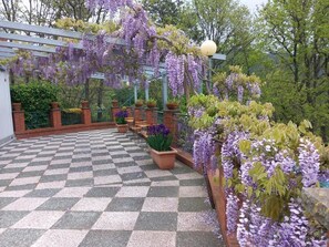 Property grounds - B&B Bella Vita (Moneglia)