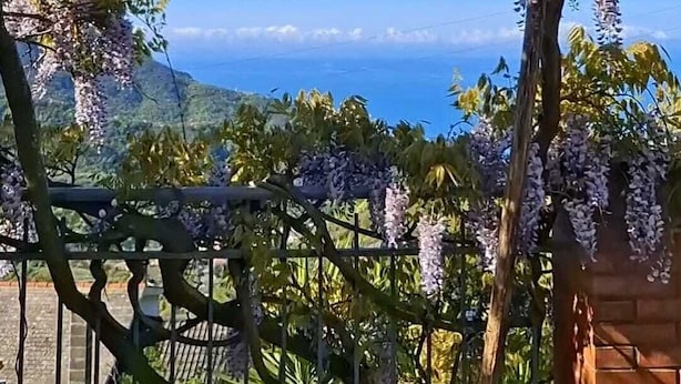 Exterior - B&B Bella Vita (Moneglia)