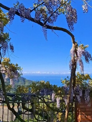Property grounds - B&B Bella Vita (Moneglia)