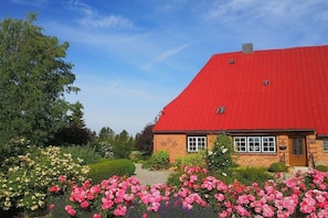 A brick house with a red roof, surrounded by a garden with pink and white flowers. - Holiday home with 3 bedrooms (Malente-Neukirchen)