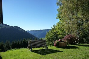 Eine Bank in einer grünen Landschaft mit Blick auf die Berge.
