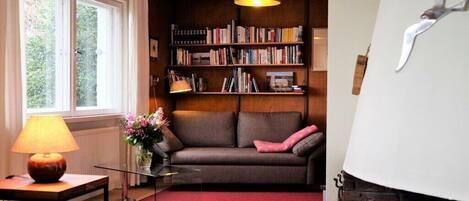 Smart TV, fireplace, DVD player, books