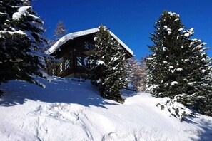 Un chalet enneigĂ©, dotĂ© dâun toit en pente, entourĂ© dâarbres chargĂ©s de neige.