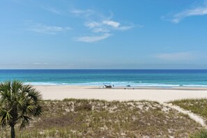 Ein Strand mit blauem Himmel, sandigem Ufer und einer Palme.