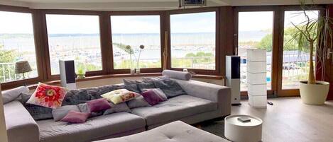 Smart TV, chimenea, reproductor de DVD y estéreo
