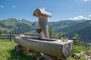 A wooden water pump with a heart-shaped sign, surrounded by a wooden fence, set against a mountainous backdrop. - Alpine hut in Rauris with swimming pool (Rauris)