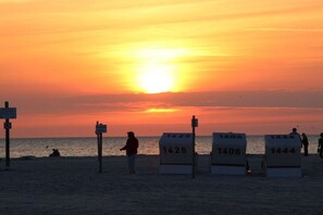 Ein Strand mit nummerierten Liegestühlen und einem Sonnenuntergang.