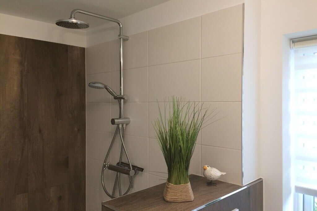 Shower, hair dryer