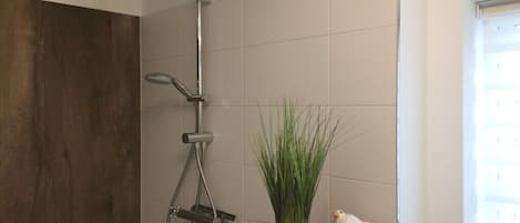 Shower, hair dryer