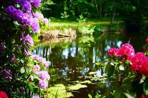 A serene pond surrounded by lush greenery and vibrant flowers. - Holiday home in Essel with swimming pool (Essel)