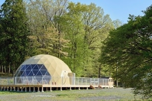 A geodesic dome structure with a transparent section, surrounded by a fence, set in a wooded area.