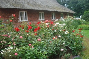 Ein reetgedecktes Cottage mit Backsteinfassade, umgeben von einem Garten mit verschiedenen blühenden Pflanzen.