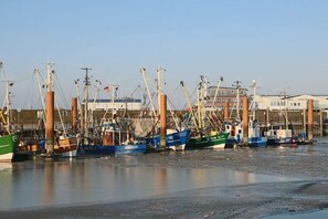 Ein Hafen mit mehreren vor Anker liegenden Fischerbooten, Holzpfählen und einem klaren Himmel.