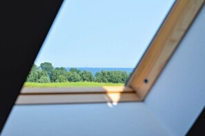 Ein Oberlicht mit Blick auf eine grüne Landschaft und einen klaren Himmel.