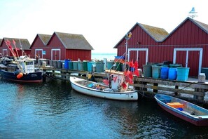 Ein Hafen mit vertäuten Booten, roten Holzgebäuden und einer ruhigen Wasseroberfläche.
