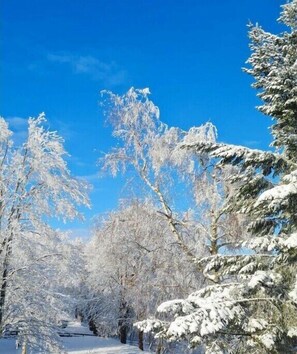 Eine verschneite Landschaft mit Bäumen und blauem Himmel.