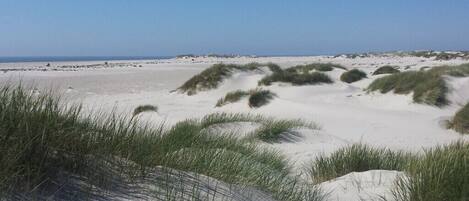 Sur la plage