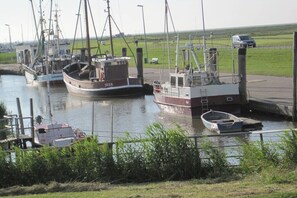 Ein Yachthafen mit mehreren anglegerten Booten, ein grünes Feld im Hintergrund und ein gepflasterter Weg.