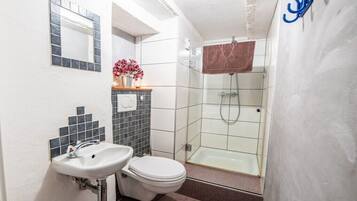 Shower, hair dryer