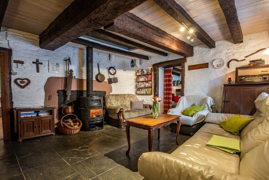 Smart TV, fireplace, DVD player, books