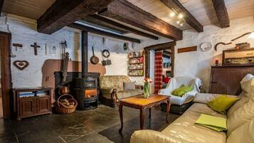 Smart TV, fireplace, DVD player, books