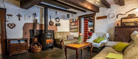Smart TV, fireplace, DVD player, books