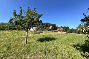 A rural house with a sloped roof, surrounded by a grassy field and trees. - Serviceberry in the heathland magic (Bispingen)