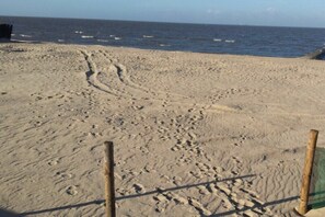 Ein sandiger Strand mit Fußspuren, die zum Wasser führen, ein Holzpfosten und eine grüne Absperrung.