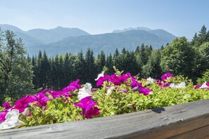 Eine Berglandschaft mit einem Hollerzaun im Vordergrund und Blick auf entfernte Berge.