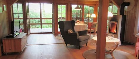 Smart TV, fireplace, books