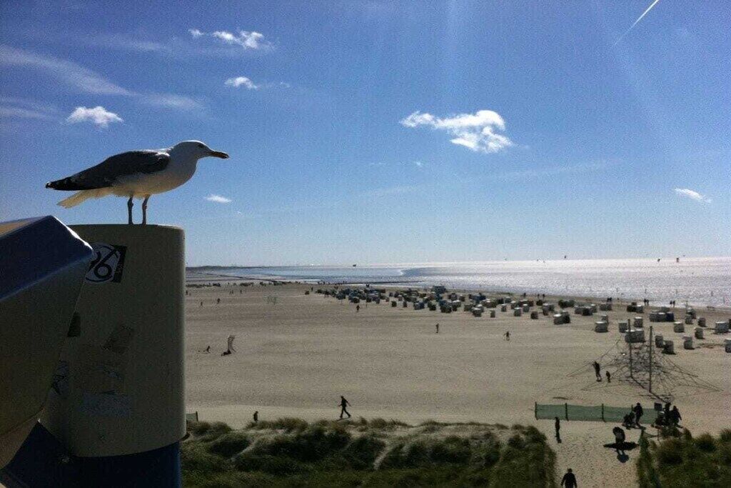 En la playa 