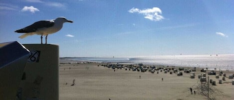 Sulla spiaggia