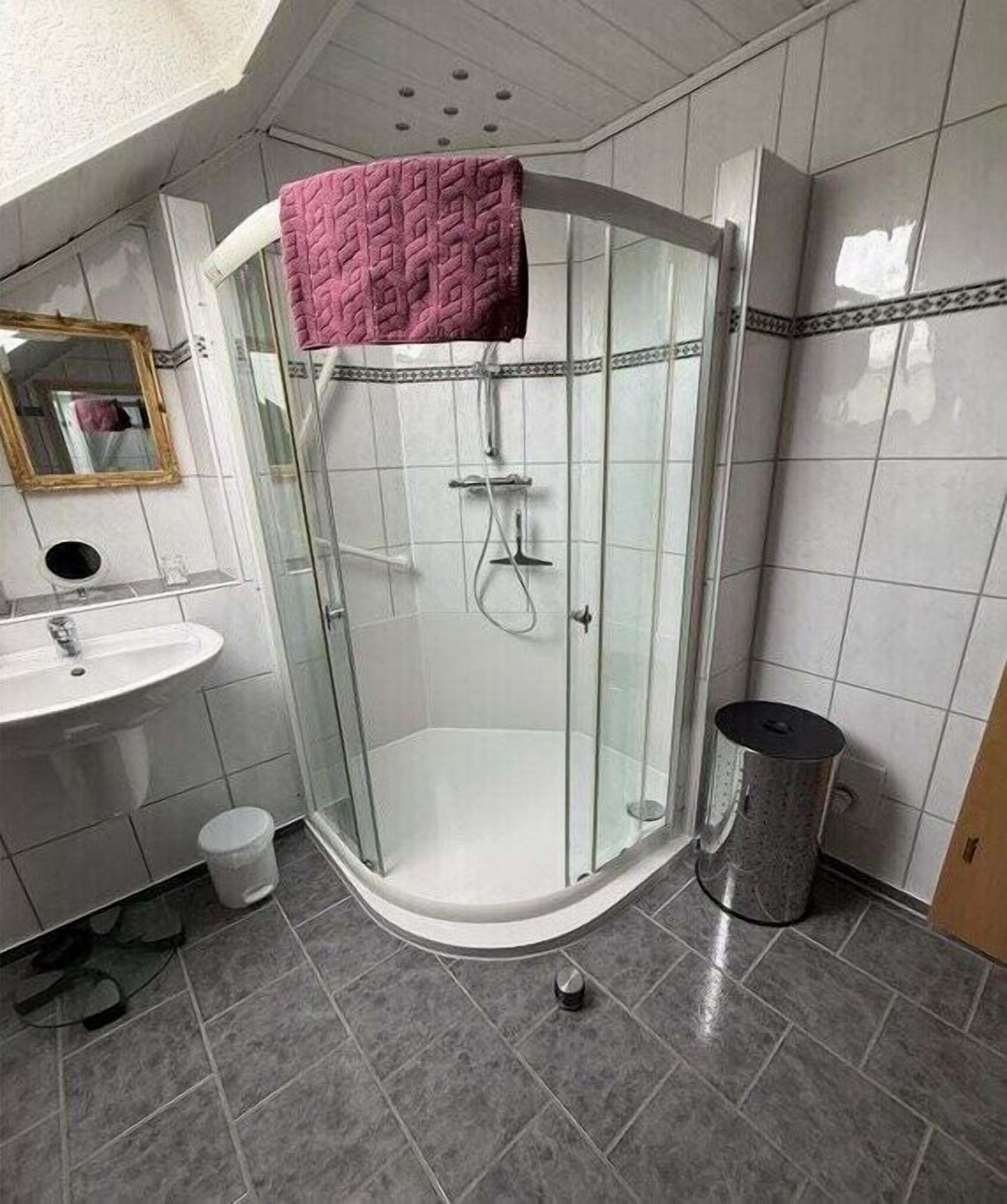 Shower, hair dryer