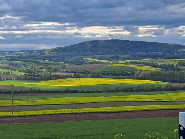 A rural landscape with fields, a hill, and a power line.